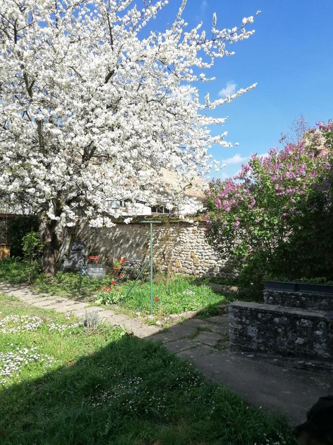 Chez Marylene Apartment Soisy-sur-Ecole Bagian luar foto